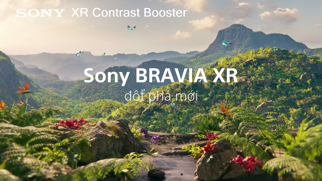 So sánh chi tiết về hai dòng tivi Sony mới 2024 XR90 và XR70 có gì khác nhau?