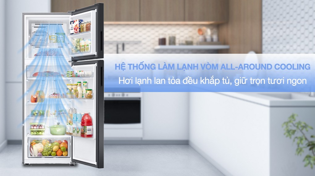 Lý do gì khiến tủ lạnh Samsung RT38CB668412/SV 385 lít nhận được nhiều quan tâm