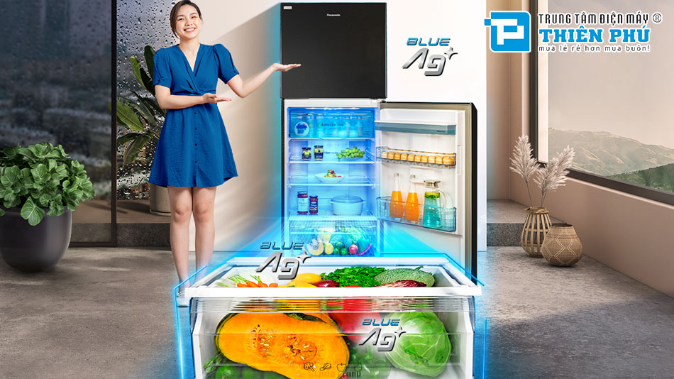 Tủ Lạnh Panasonic Inverter 2 Cánh 405 lít NR-TX461GPKV