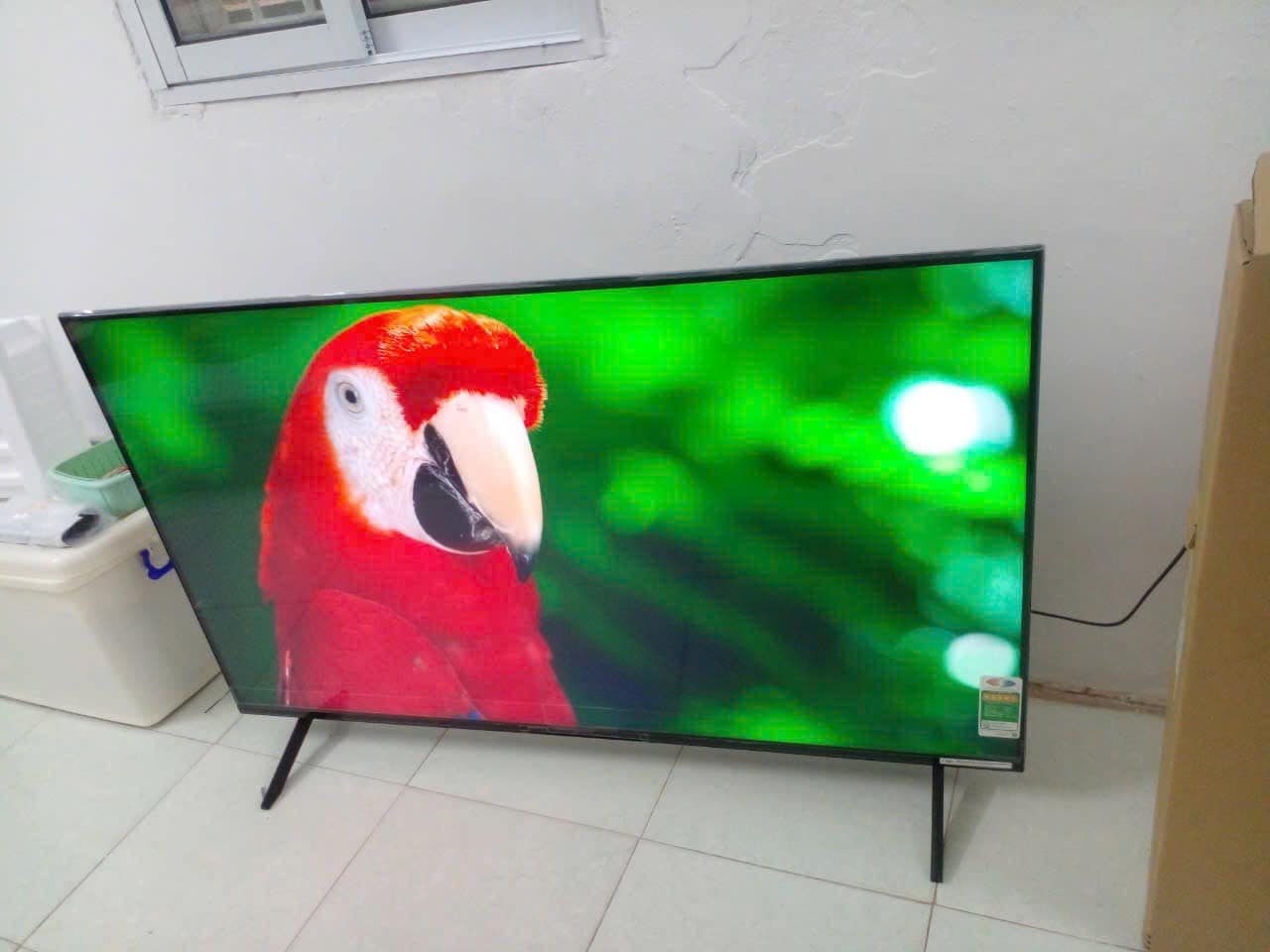 Top 4 tivi Sony 55 inch từ giá rẻ đến cao cấp hiện đại cho phòng khách sang trọng