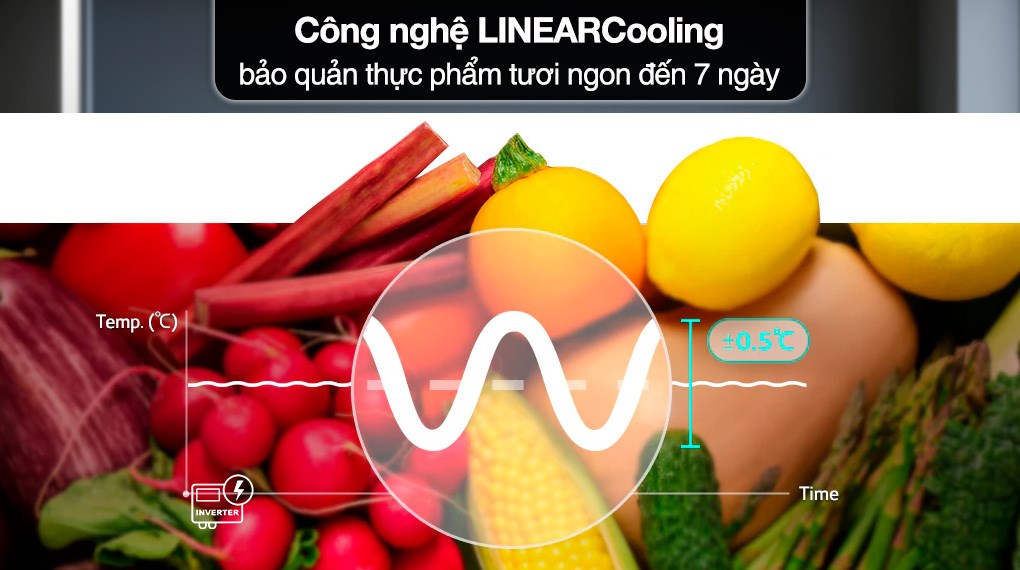 Tìm hiểu những điểm độc đáo mà tủ lạnh LG 4 cánh LFD61BLGA mang tới