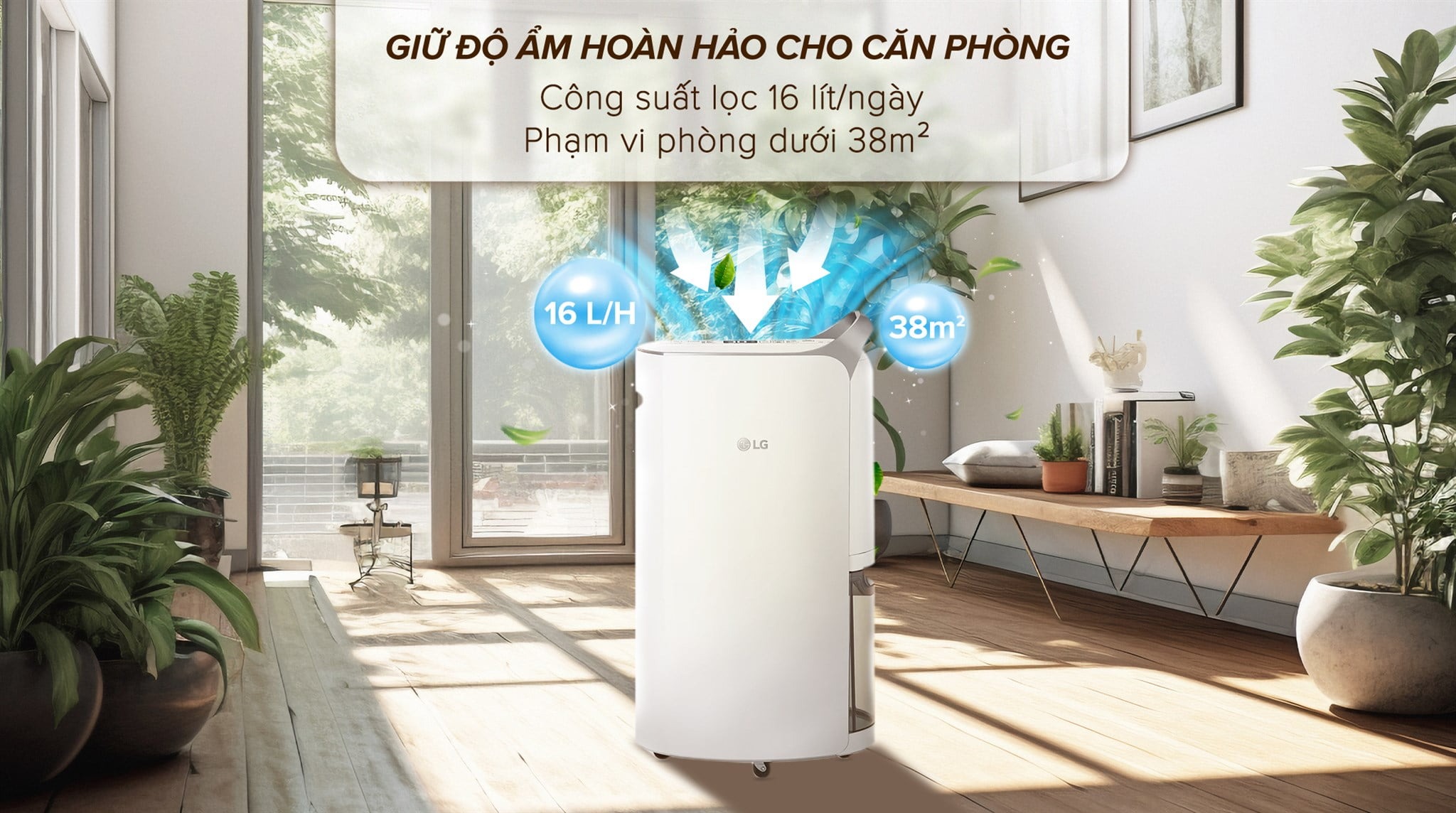 Máy hút ẩm LG MD16GQSE0 phù hợp cho phòng bao nhiêu m2? Máy có đặc điểm gì?