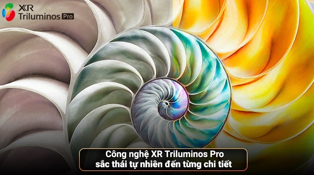 Tổng quan về các công nghệ hình ảnh và âm thanh của tivi Sony 65 inch OLED 4K K-65XR80