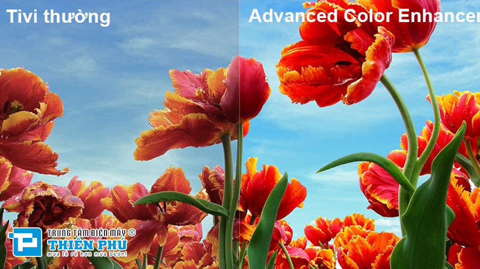 Review công nghệ âm thanh, hình ảnh trên Smart tivi LG QNED 65QNED86TSA