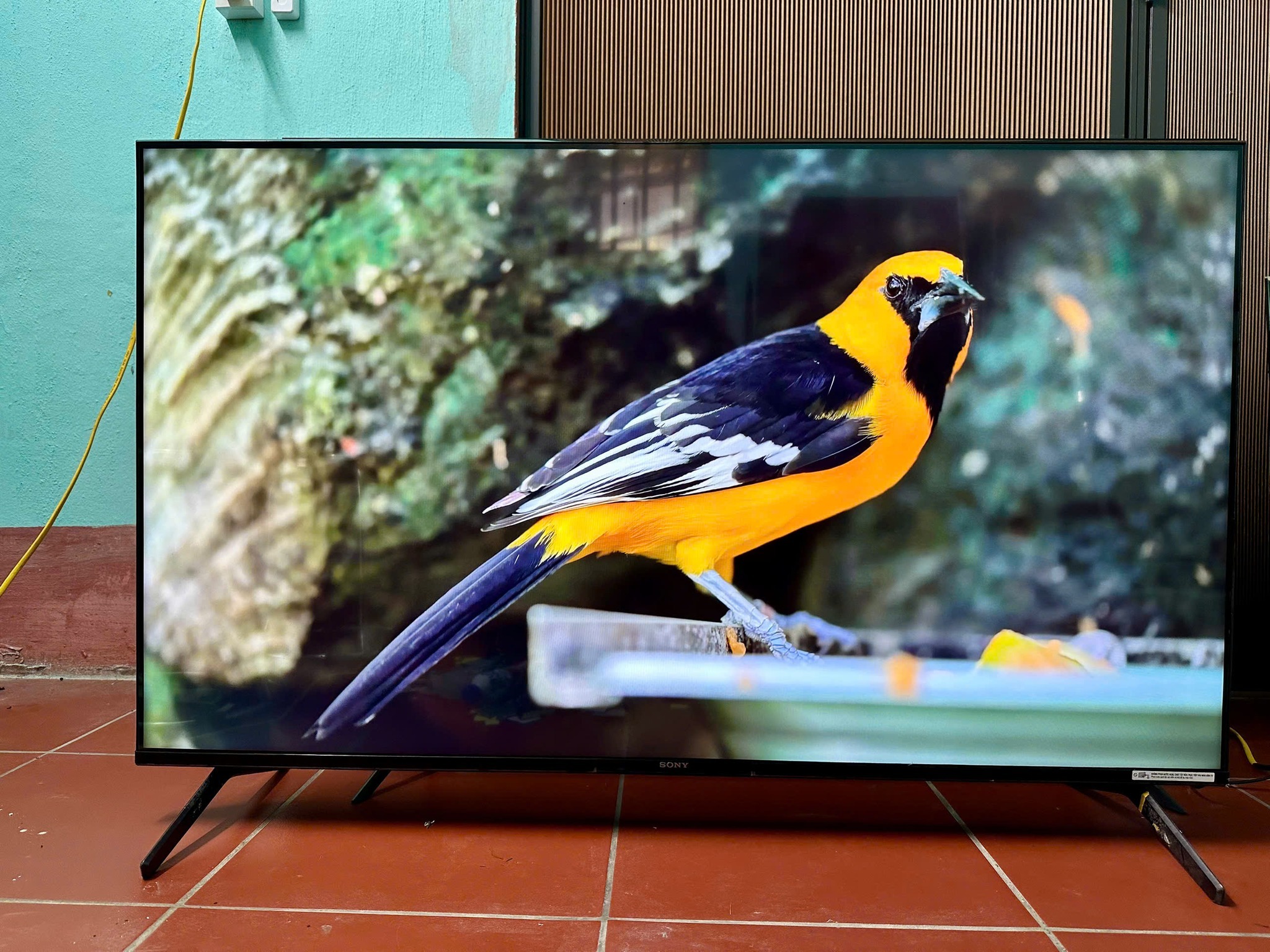 Cuối năm 2024, tìm mua tivi kích thước nhỏ gọn không nên bỏ qua tivi Sony 43 inch K-43S30