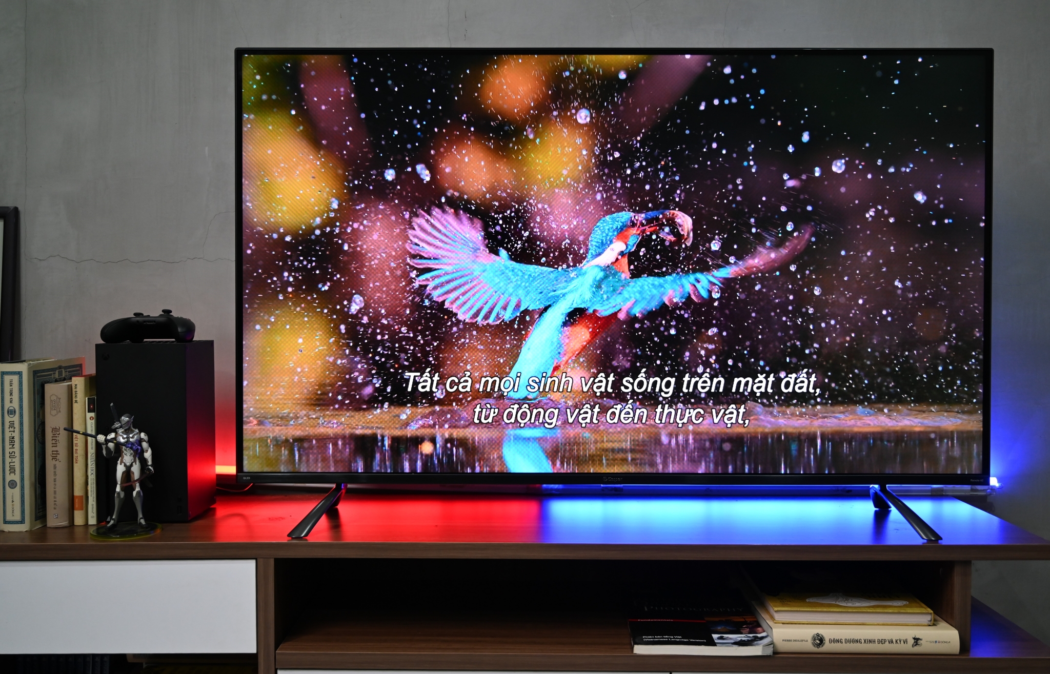 Tivi Casper 55 inch 4K 55QG8000 – Mẫu tivi QLED siêu chất lượng mà giá cực rẻ