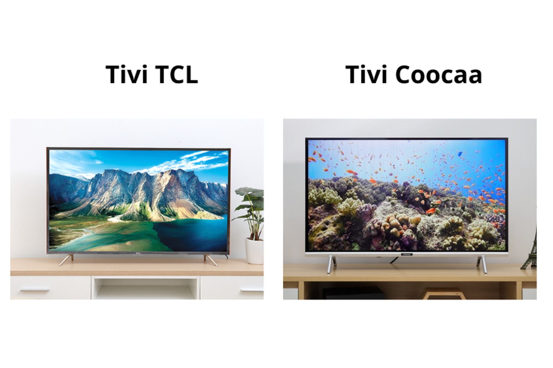 So sánh tivi Coocaa và tivi TCL, nên dùng loại nào trong hai hãng tivi giá rẻ này?