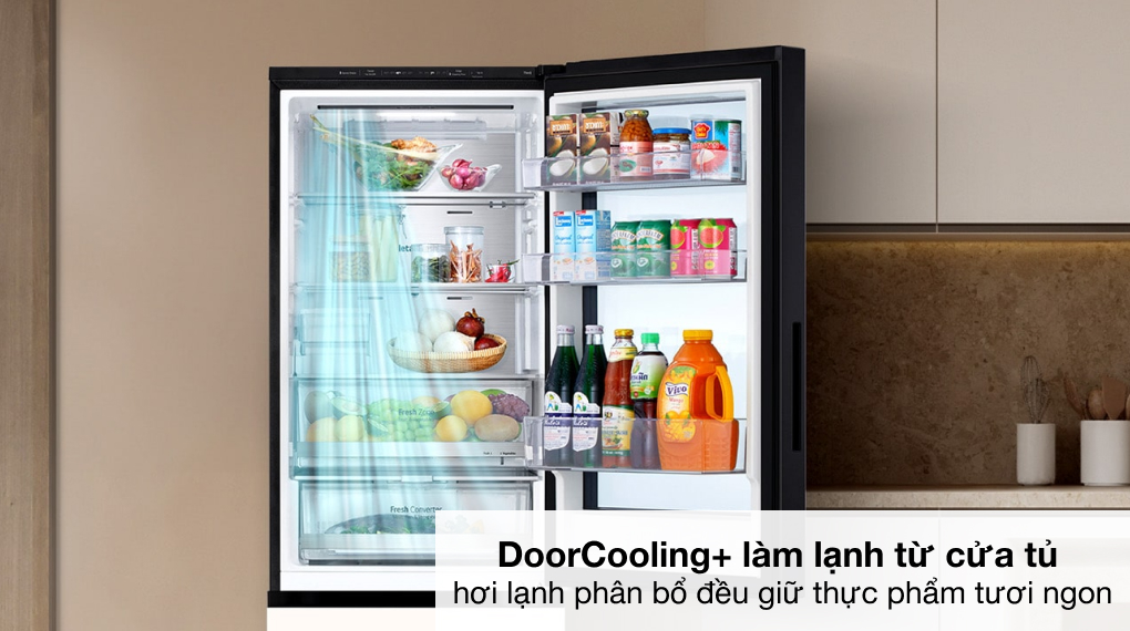 Một số thông tin cần thiết cho bạn về tủ lạnh LG LBB33BGMAI 340 lít