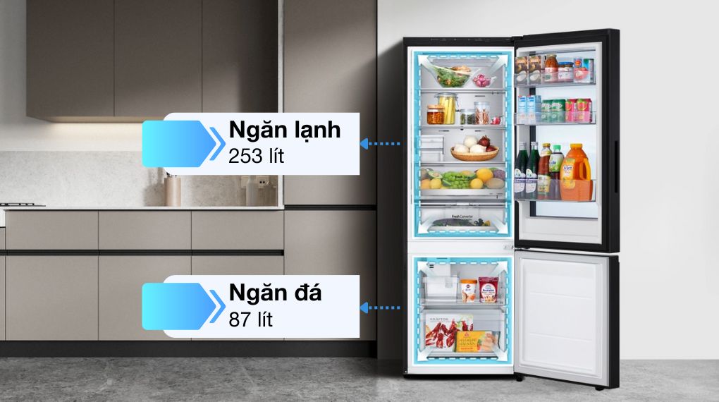 Một số thông tin cần thiết cho bạn về tủ lạnh LG LBB33BGMAI 340 lít