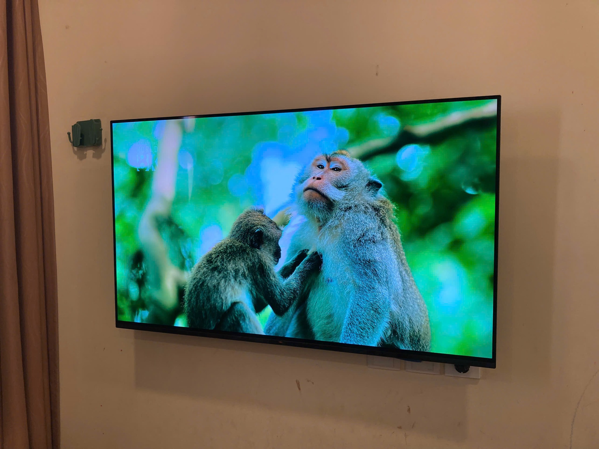 Có nên mua tivi Sony OLED 4K K-65XR80 hay không? Sản phẩm này phù hợp với ai?