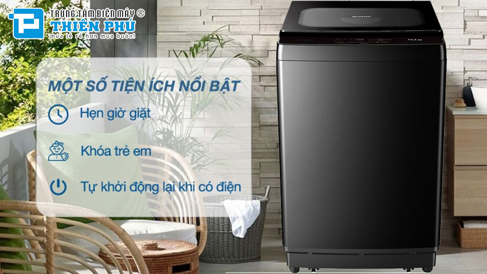 Máy Giặt Casper WF-D125VGR1 và Sharp ES-TM125CN-BK: Nên Mua Loại Nào?