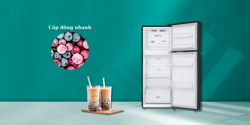 Lý do khiến tủ lạnh LG LTB21BLMD được nhiều quan tâm từ người dùng