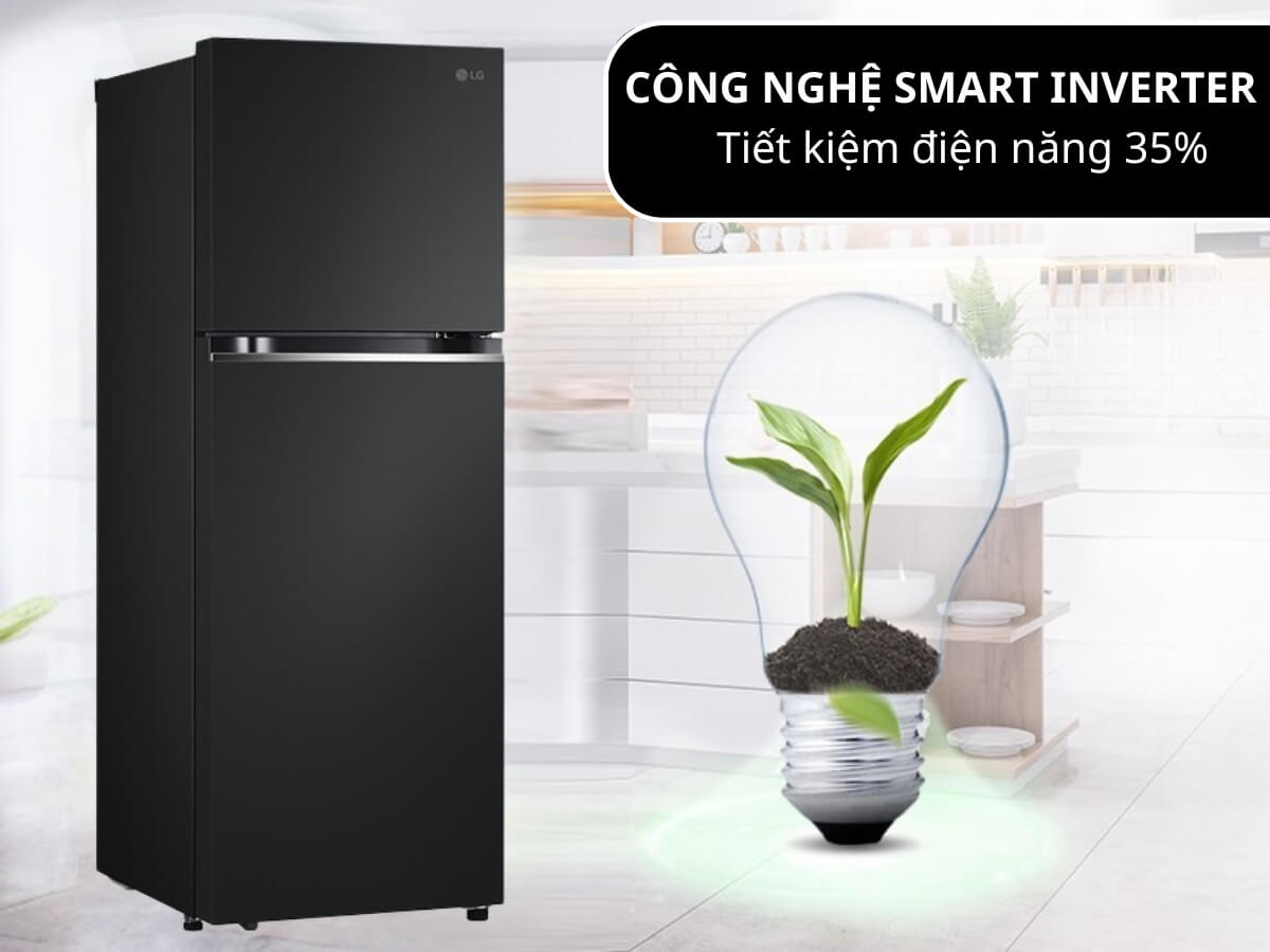 Đánh giá tủ lạnh LG 2 cánh LTB31BLMA dưới mọi góc nhìn