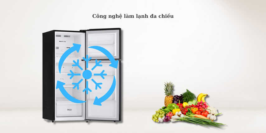 Lý do khiến tủ lạnh LG LTB21BLMD được nhiều quan tâm từ người dùng