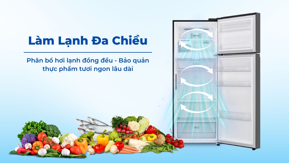 Một số điểm nổi trội đến từ tủ lạnh LG 2 cánh  LTB33BLMA 