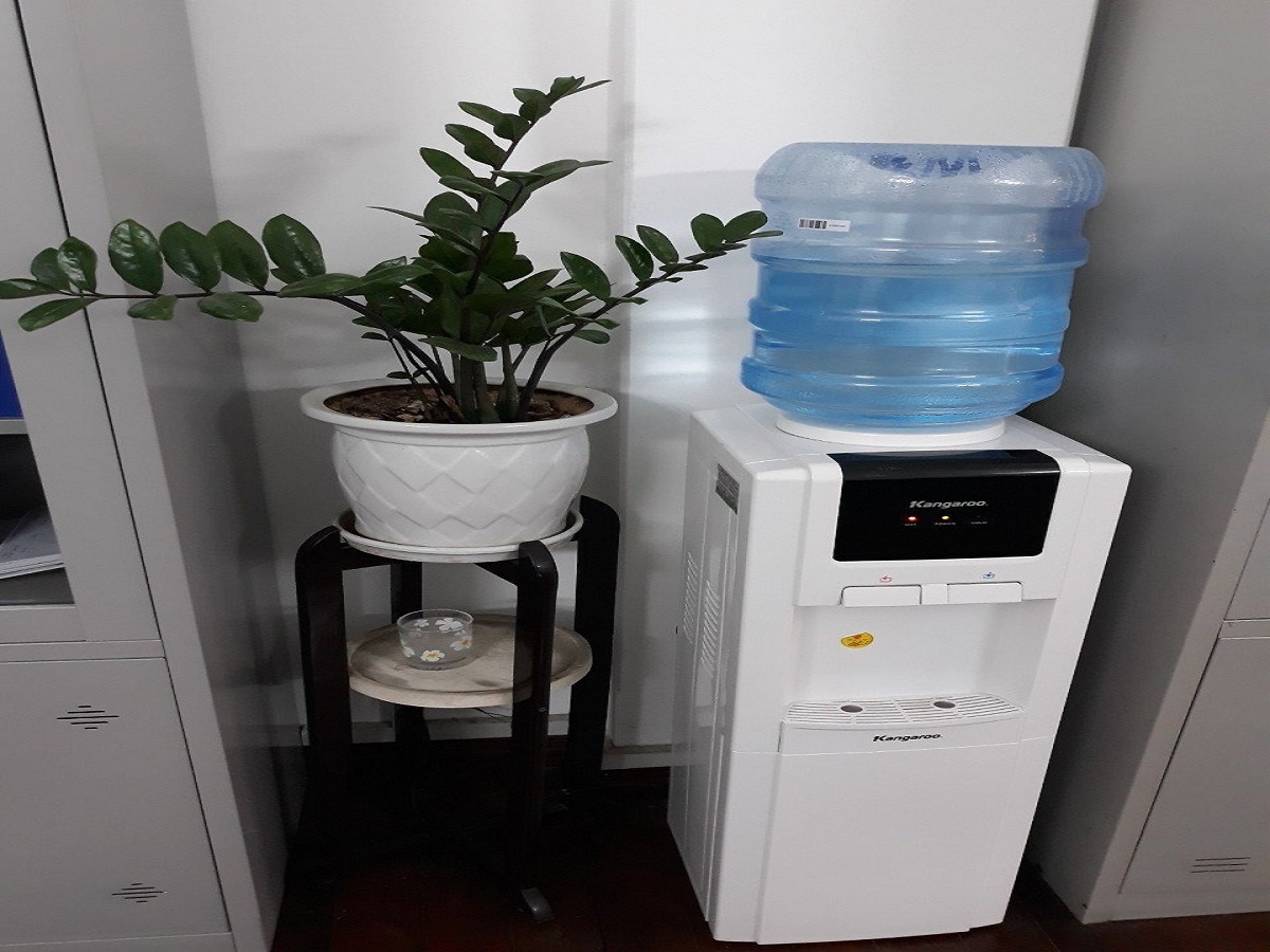 Cây nước nóng lạnh Kangaroo 2 vòi KG32N sự lựa chọn thông minh cho cuộc sống tiện nghi