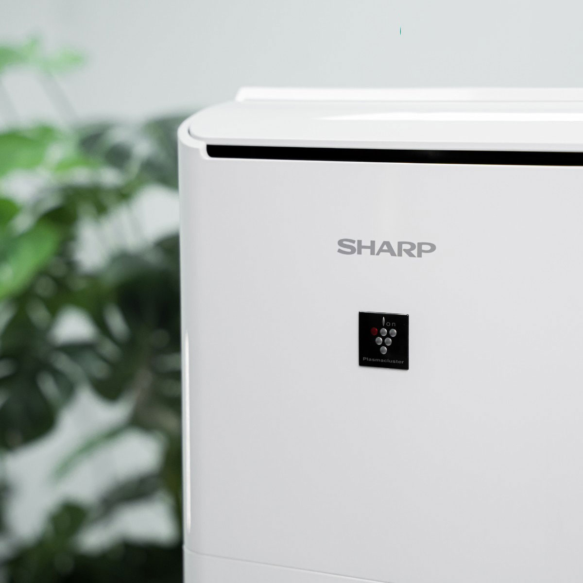 Đánh giá máy hút ẩm Sharp DW-D12A-W có tốt không, có nên mua không?