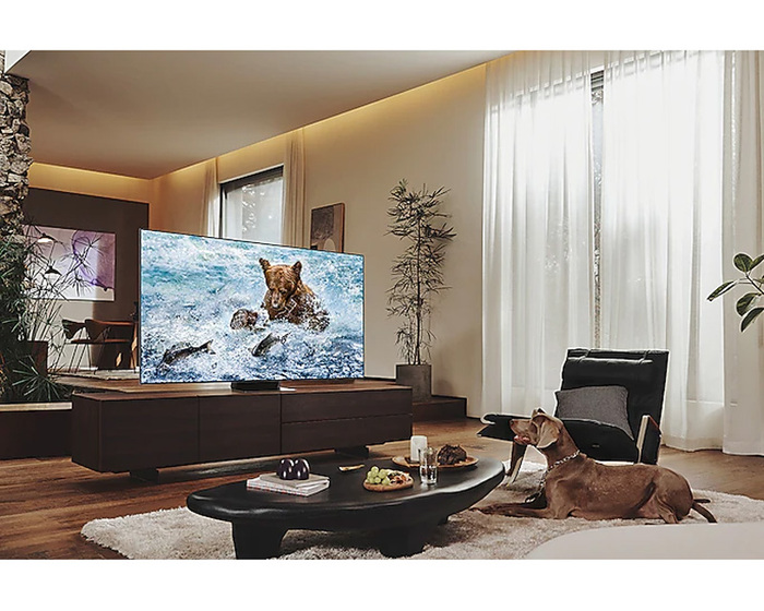 So sánh smart tivi Samsung 65 inch QA65QN85FAKXXV và QA65QN80FAKXXV: Đâu là lựa chọn hoàn hảo cho trải nghiệm giải trí 4K?