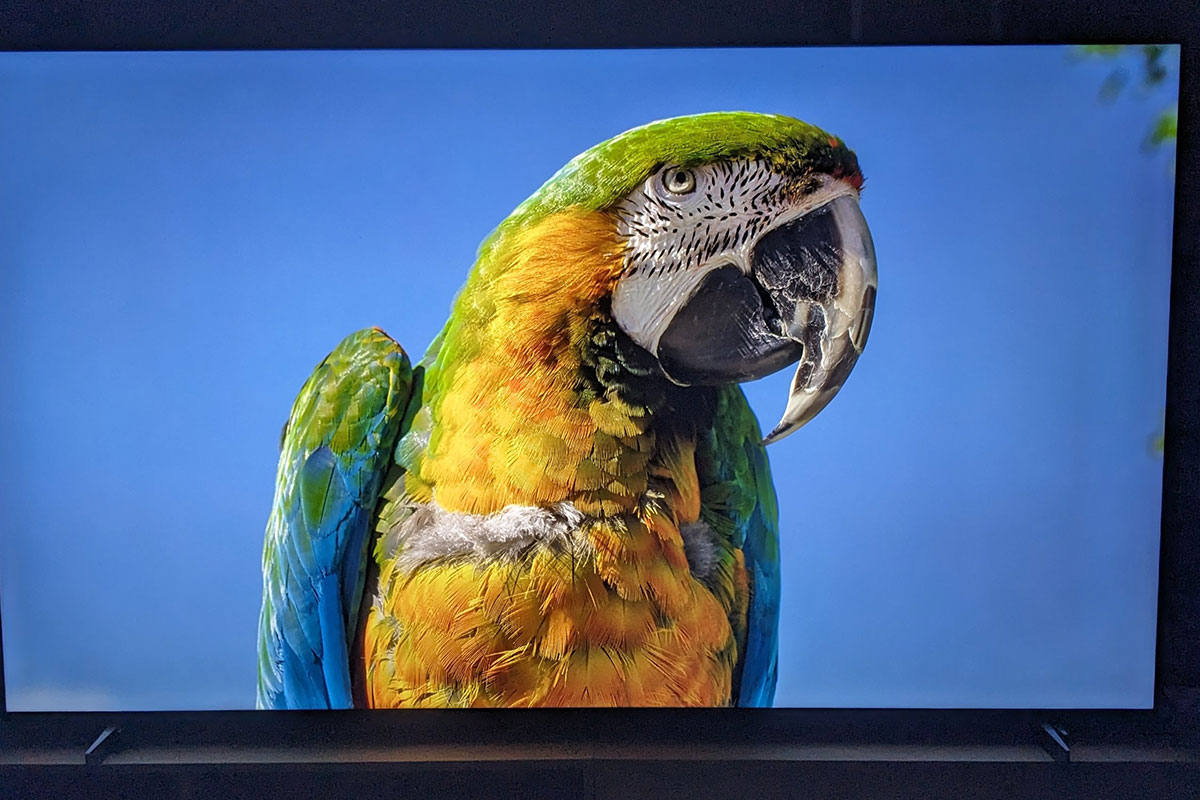 Review chi tiết về chiếc tivi TCL 98 inch 4K 98P745 có kích thước siêu khủng