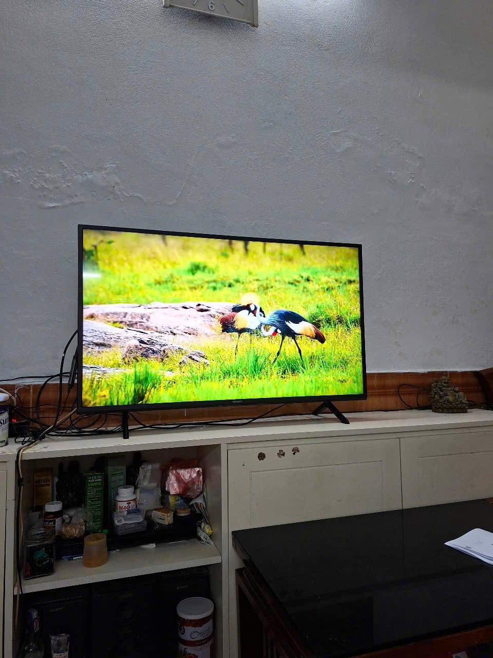 Review Google Tivi Xiaomi A 4K 55 inch L55MA-ASEA có chất lượng ra sao, có nên mua không?