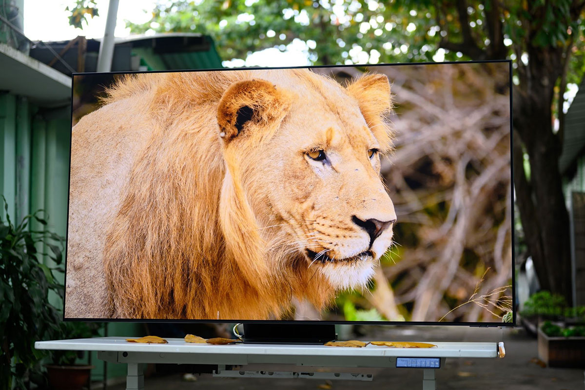 Bạn đang tìm tivi mới? Đây là 8 lý do tivi Samsung OLED là lựa chọn không thể bỏ qua