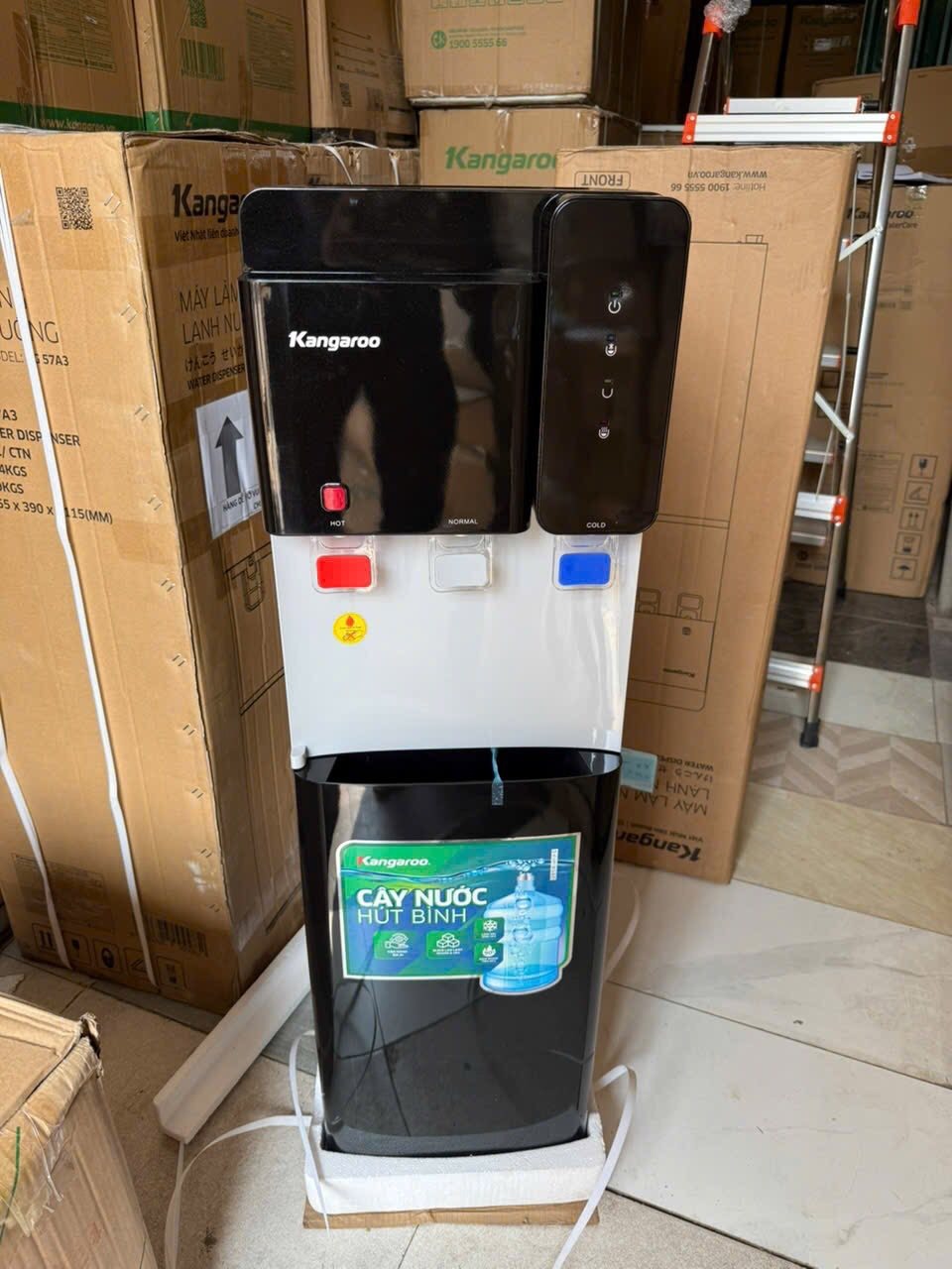 Cây nước nóng lạnh Kangaroo 3 vòi KG64A3 hiệu năng vượt trội, thiết kế hiện đại cho mọi không gian