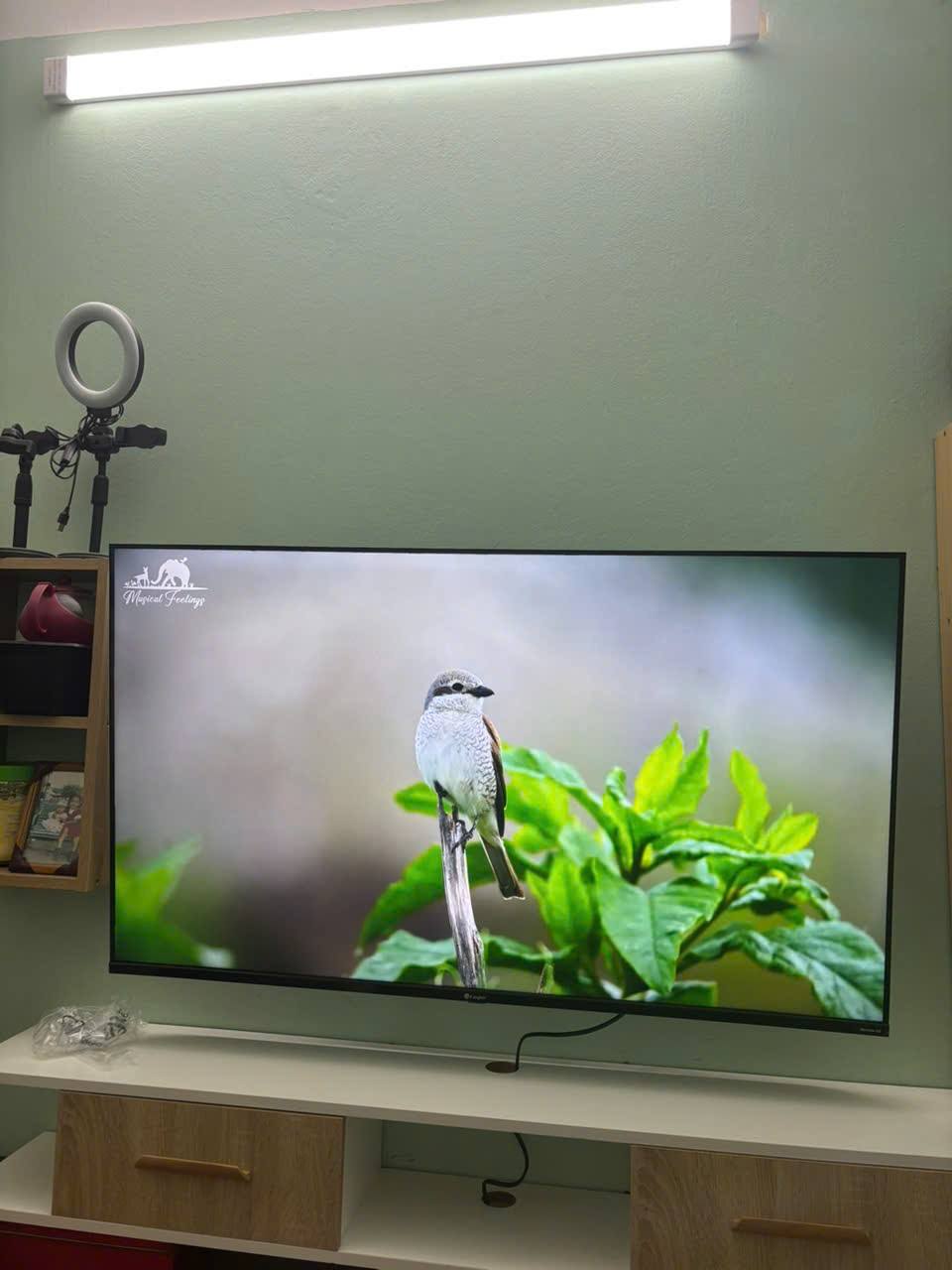 Phân tích ưu nhược điểm về smart tivi Casper 50 inch 4K D50UGC620 mới ra mắt 2025