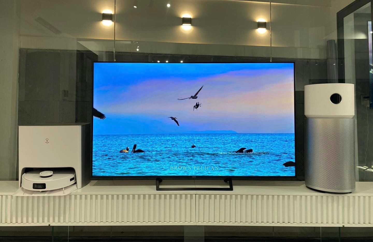 Đánh giá tivi Xiaomi A Pro 65 inch L65M8-A2SEA với giá siêu rẻ chỉ 12 triệu liệu chất lượng có ổn?