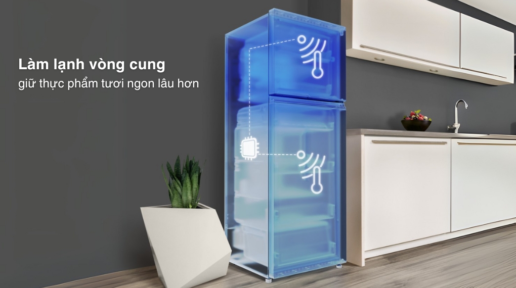 Những lý do mà bạn nên chọn tủ lạnh Hitachi 2 cánh HRTN6379SGBKVN