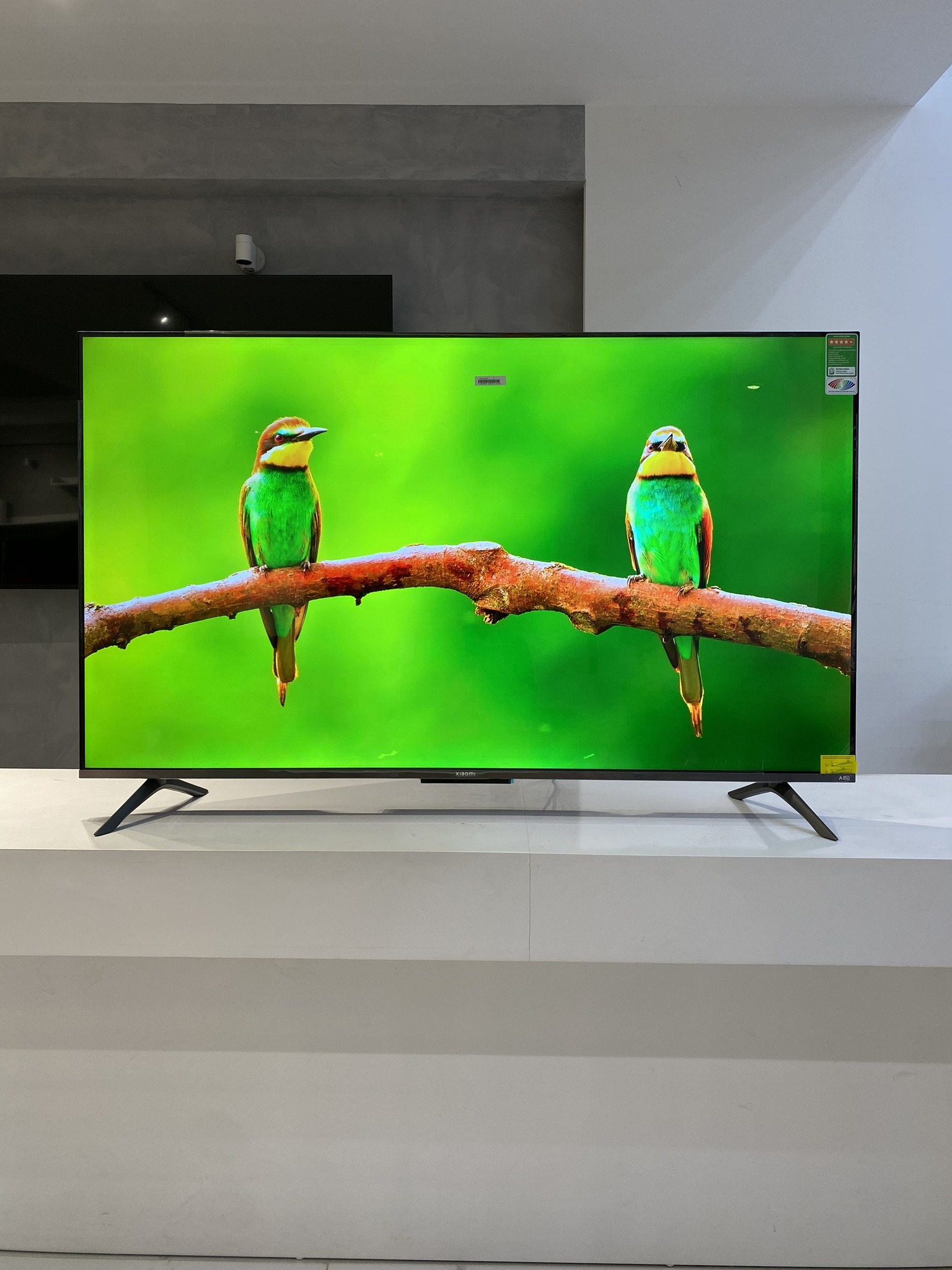 Đánh giá chi tiết tivi Xiaomi 55 inch 4K L55MA-SSEA liệu có xứng đáng với giá tiền?