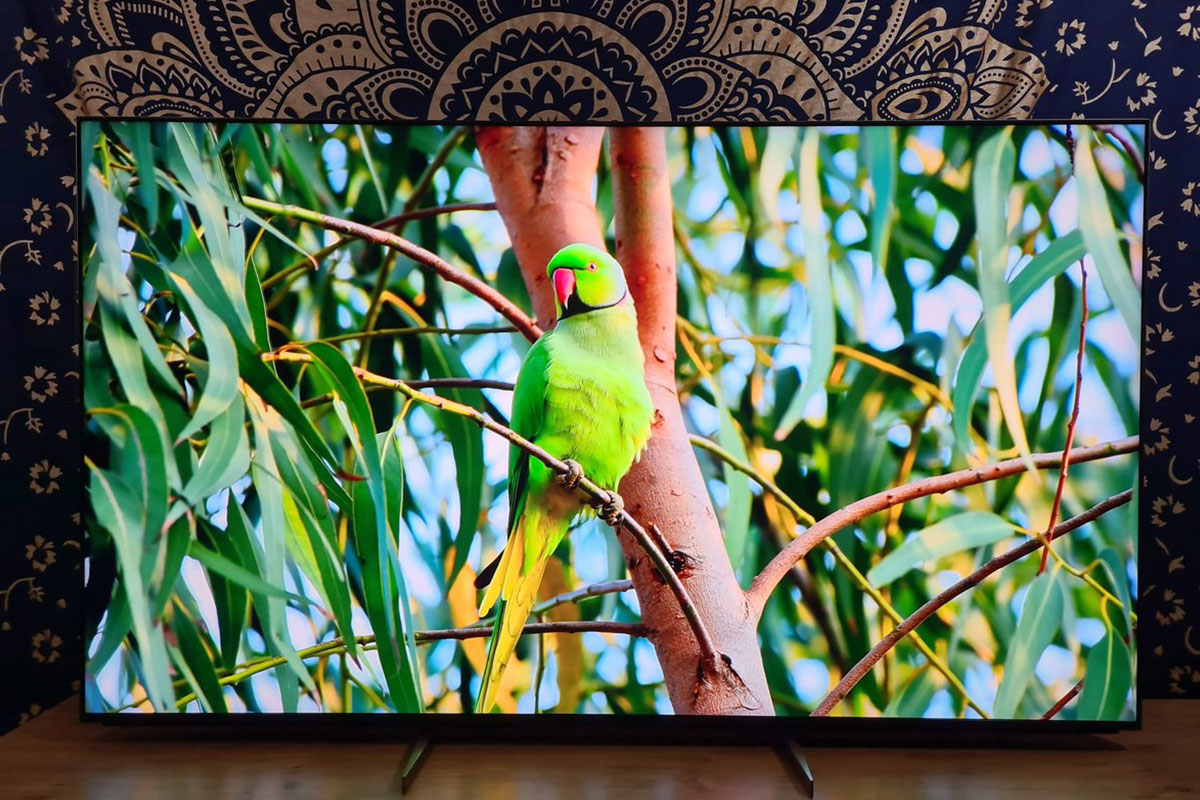 Google Tivi Sony 65 inch 4K K-65S25VM2, lựa chọn đẳng cấp cho phòng khách hiện đại