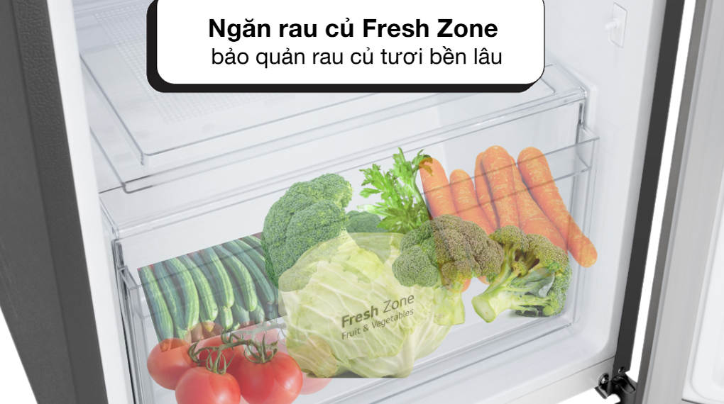 Những điểm độc đáo trên tủ lạnh LG LTB21SVMD bạn nên biết 