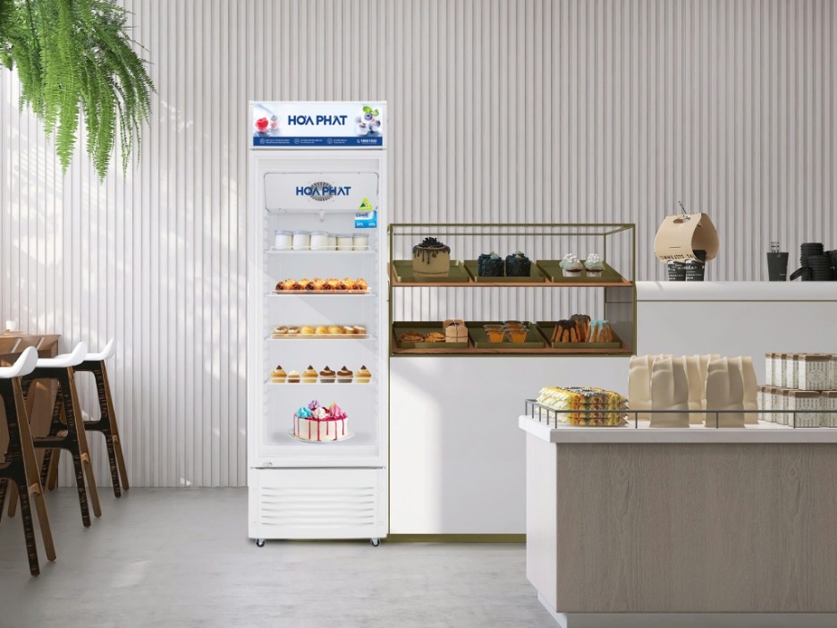 Tủ Mát Hòa Phát 195 Lít HSR D6195 giá rẻ tại kho chính hãng