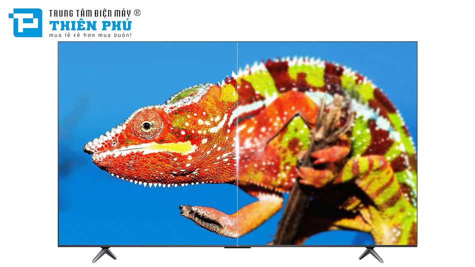 Google Tivi TCL 4K 65 Inch 65P69K