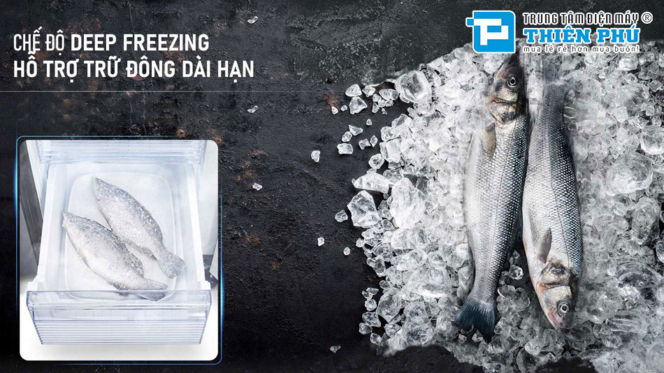 Tủ Lạnh Sharp Inverter 4 Cánh 572 Lít SJ-FXP650VG-SL