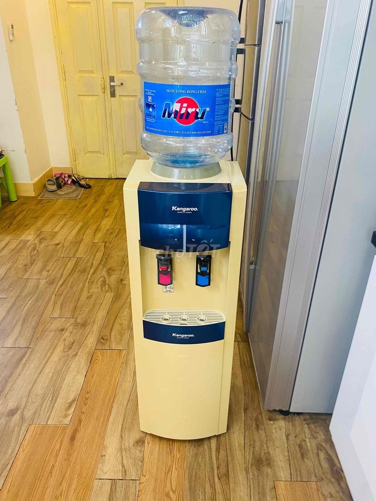 Đánh giá chi tiết cây nước nóng lạnh Kangaroo úp bình KG43 bền bỉ, an toàn, tiện dụng