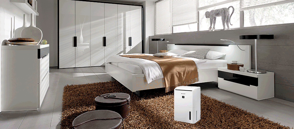 Chia sẻ về các đặc điểm nổi bật của máy hút ẩm Sharp DW-T30FV-W