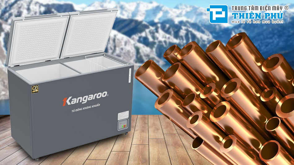 Tủ Đông Kangaroo 2 Ngăn 2 Cánh 252 Lít Dàn Đồng KGFZ312NK2