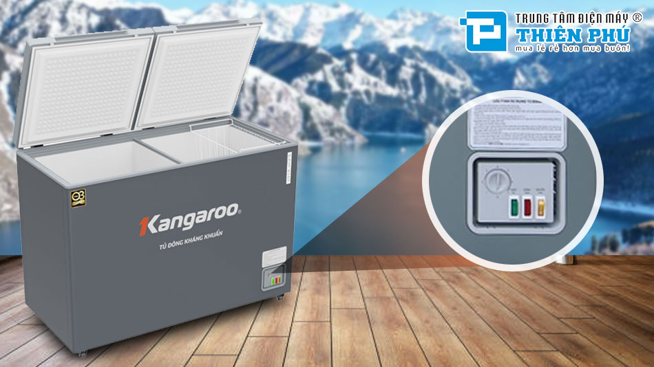 Tủ Đông Kangaroo 2 Ngăn 2 Cánh 252 Lít Dàn Đồng KGFZ312NK2