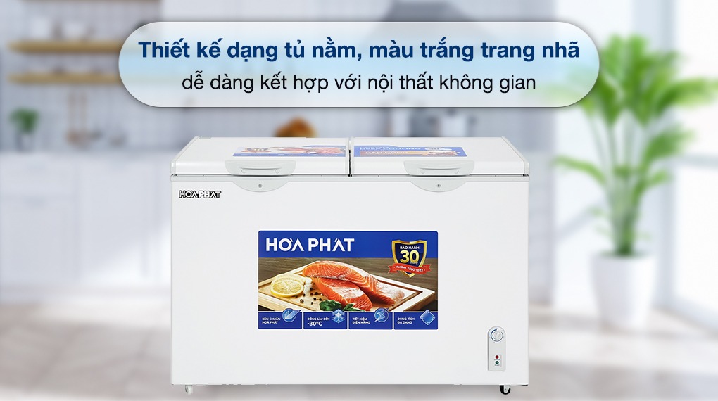 Có nên dùng tủ đông Hòa Phát HPF AD6352.T1 giá rẻ hay không?