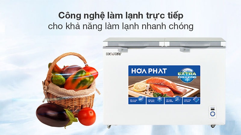 Có nên dùng tủ đông Hòa Phát HPF AD6352.T1 giá rẻ hay không?