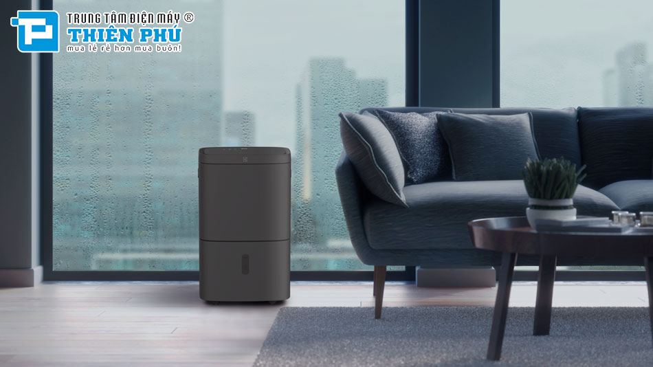 Máy Lọc Không Khí Hút Ẩm Electrolux EDH16TRBD3