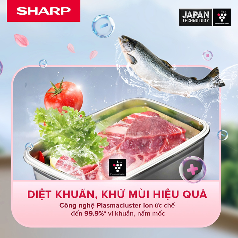 Vì sao tủ lạnh Sharp SJ-XP500AE-DS model 2025 thu hút người dùng?