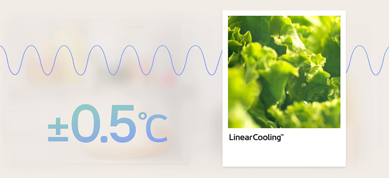 Tủ lạnh LG 2 cánh LBB33BLGA chất lượng và đáng