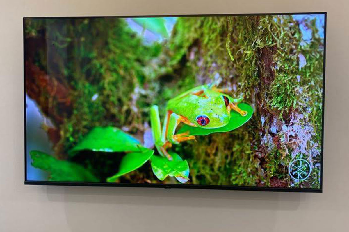 Đánh giá chi tiết google tivi Sony 75 inch 4K K-75S25VM2 có ưu nhược điểm gì?