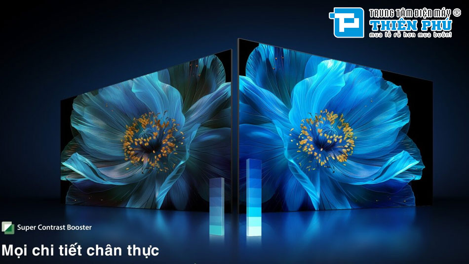 Smart Tivi Toshiba 65 Inch 4K 65E330NP