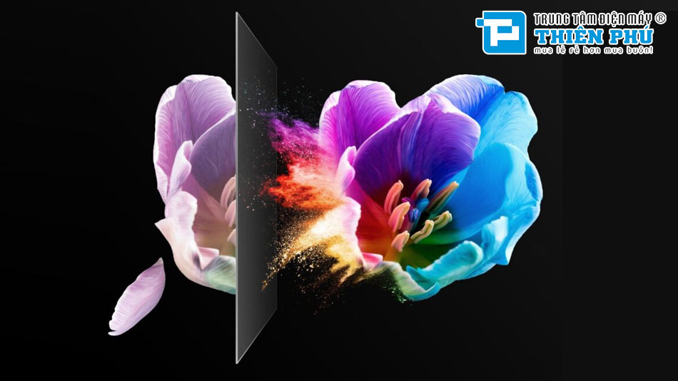 Smart Tivi Toshiba 65 Inch 4K 65E330NP