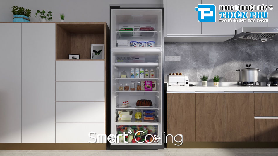 Dung tích 251 lít tối ưu cho nhu cầu sử dụng gia đình