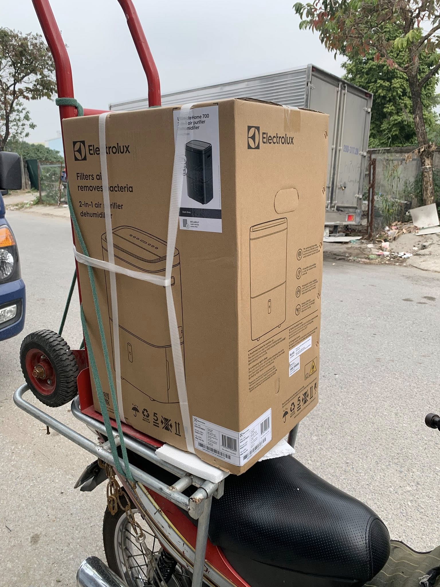 Đánh giá chi tiết máy hút ẩm lọc không khí Electrolux EDH16TRBD3 có đáng đầu tư không?