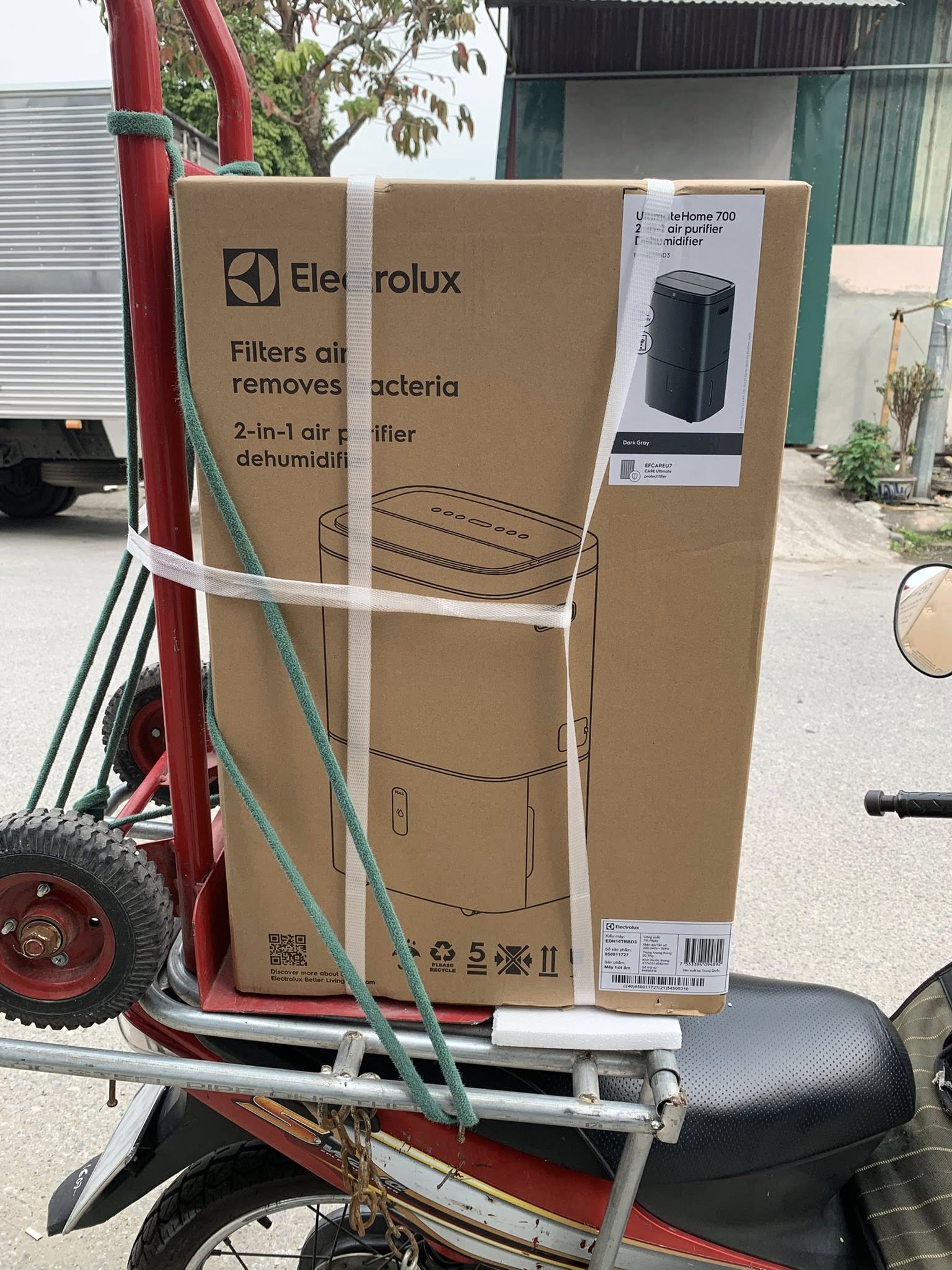 Đánh giá chi tiết máy hút ẩm lọc không khí Electrolux EDH16TRBD3 có đáng đầu tư không?